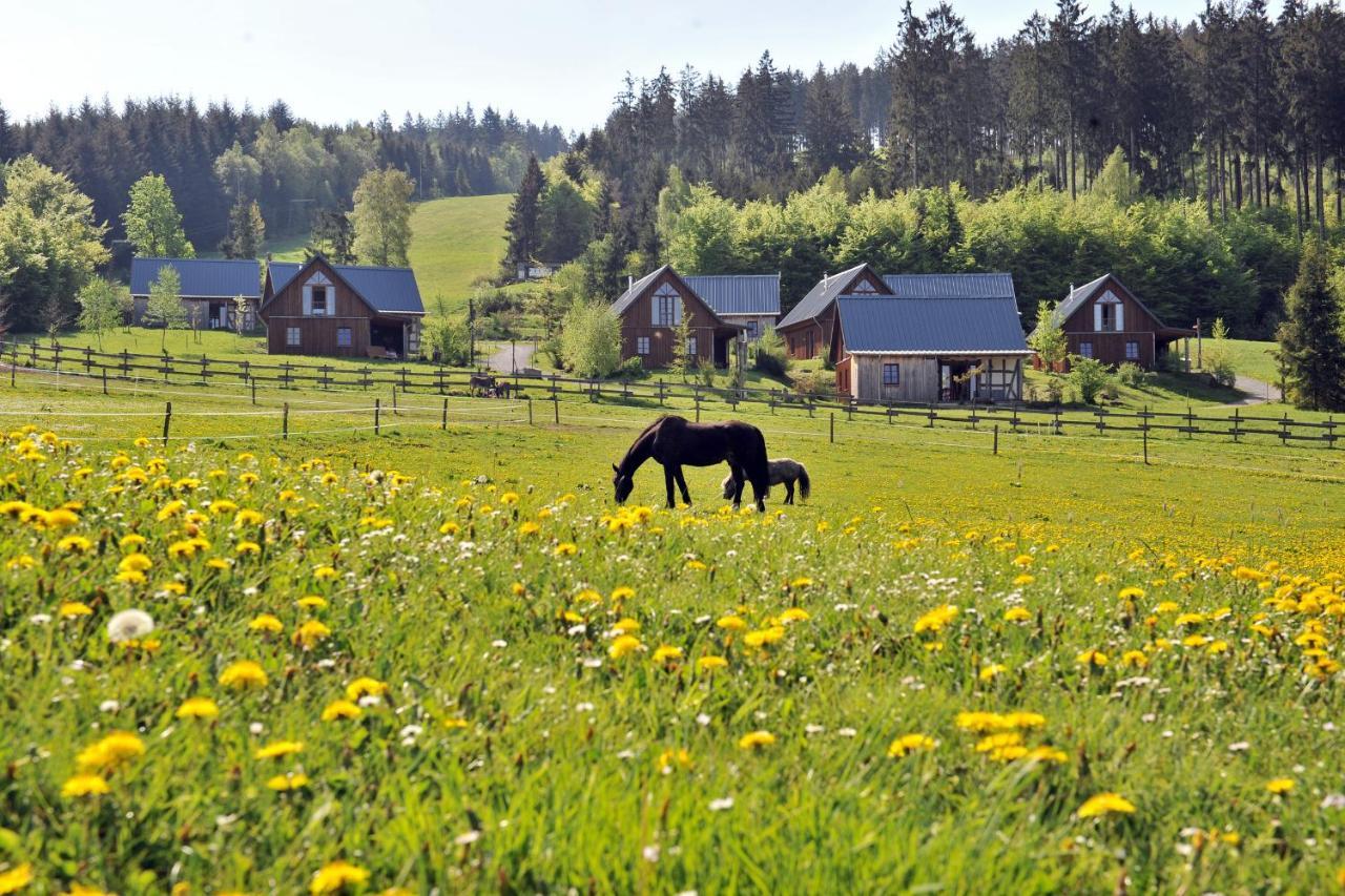 Bergdorf Liebesgruen Hotel Schmallenberg Kültér fotó